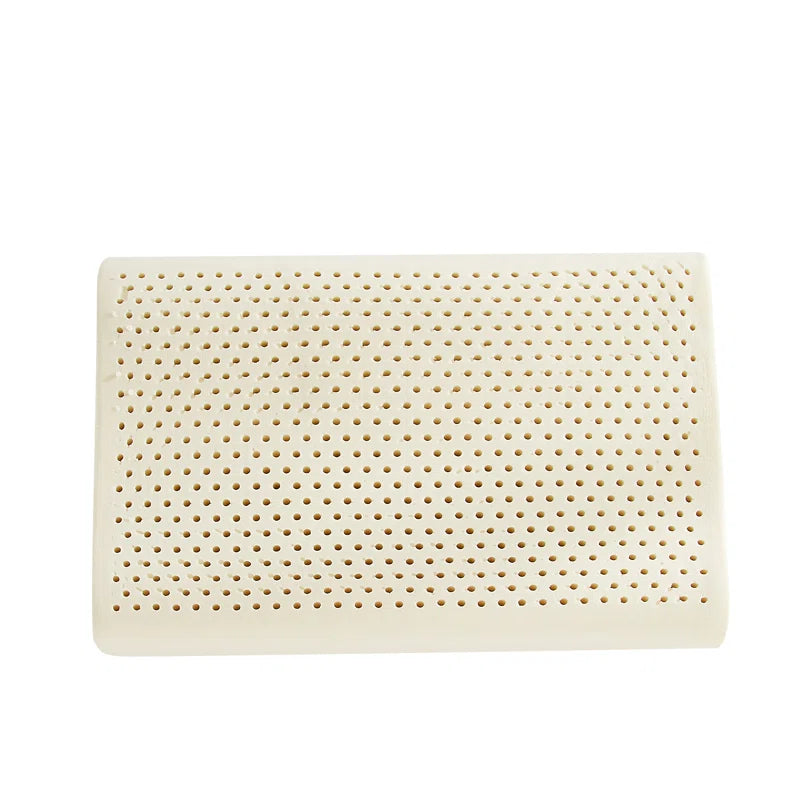 Hana (24x14) Latex Pillows In (Pack of 2) - Febonic Living