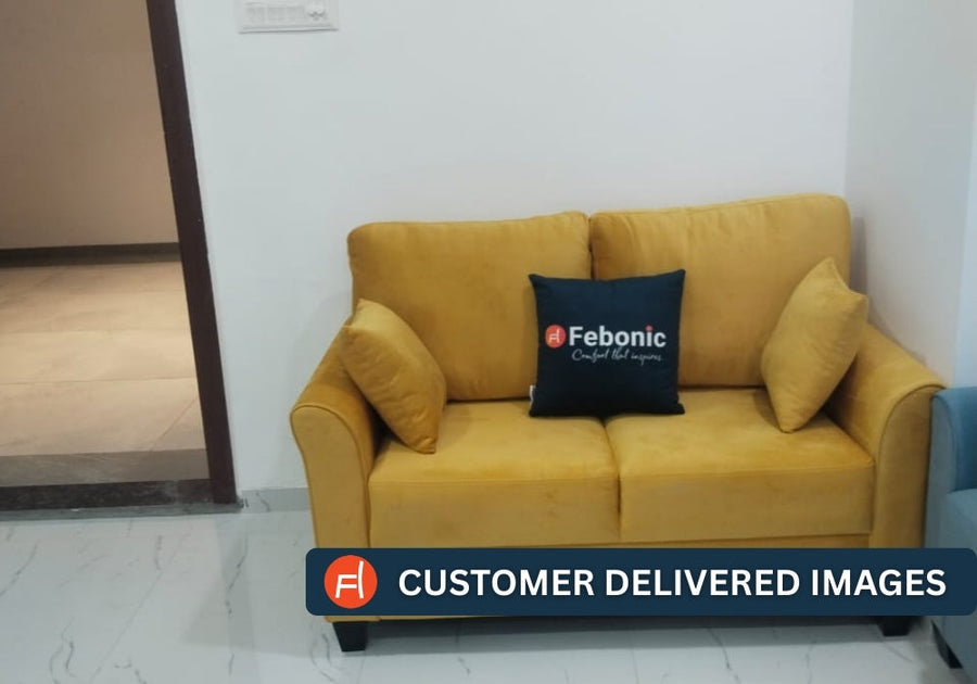 Daroo Velvet 2 Seater Sofa In Ox Blood Maroon Colour - Febonic Living