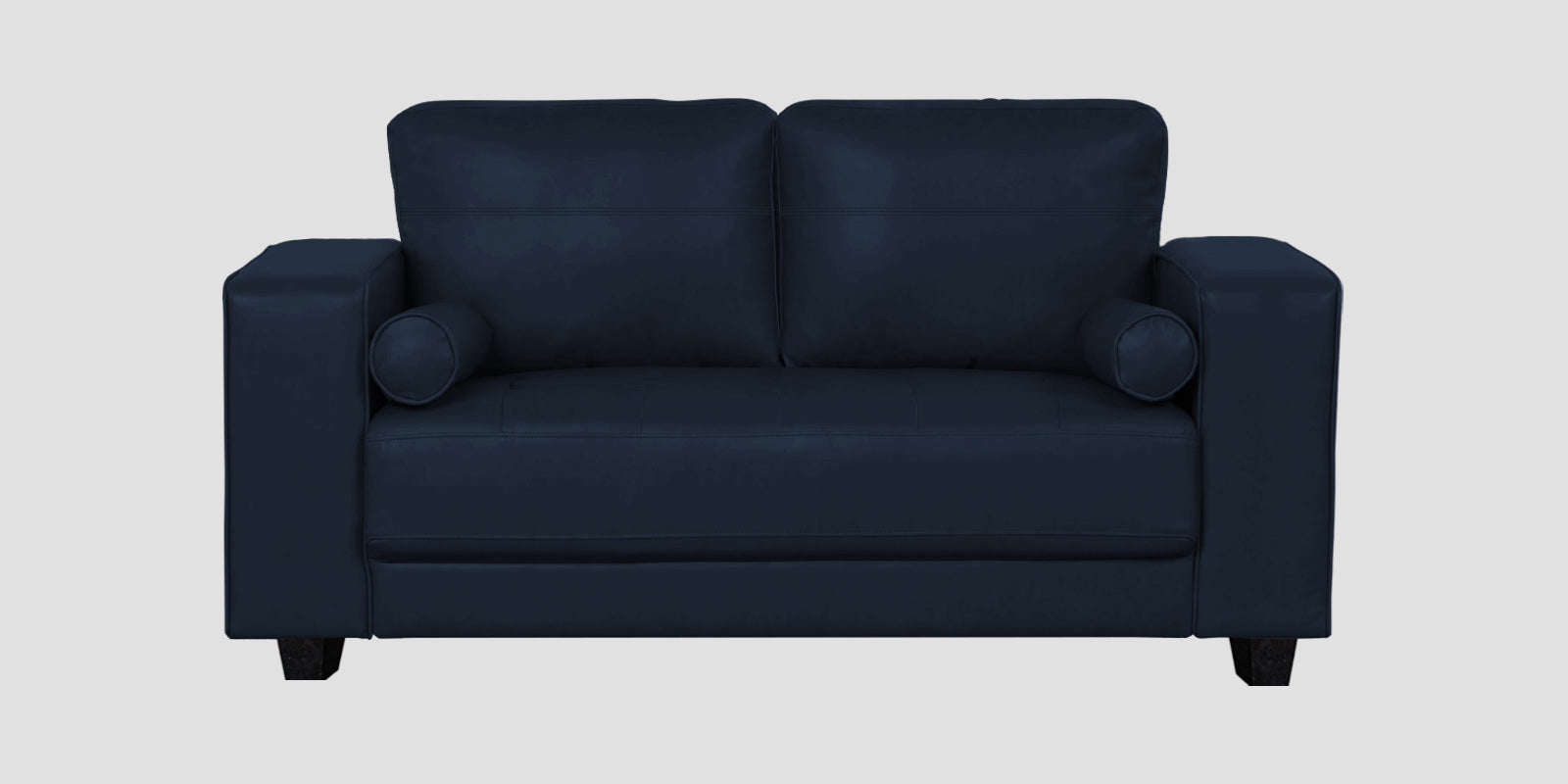 Darwin Leatherette 2 Seater Sofa In Berry Blue Colour - Febonic Living
