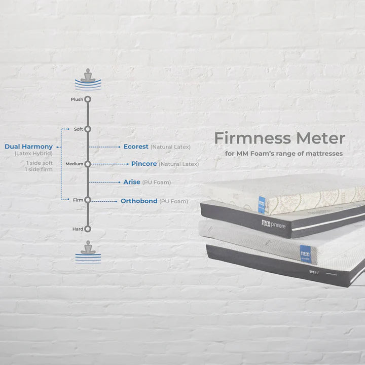 Dual Harmony (Latex Hybrid) Queen Size Mattress
