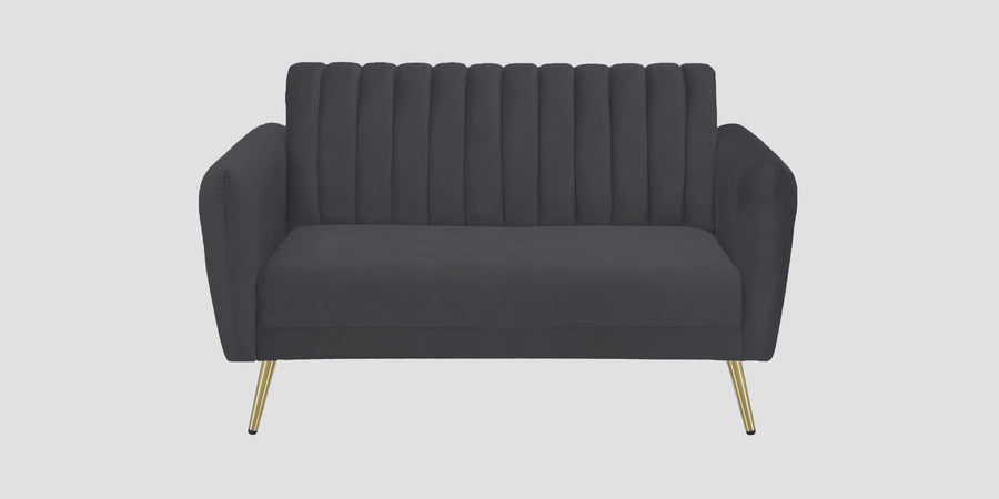 Fidel Velvet 2 Seater Sofa In Davy Grey Colour - Febonic Living