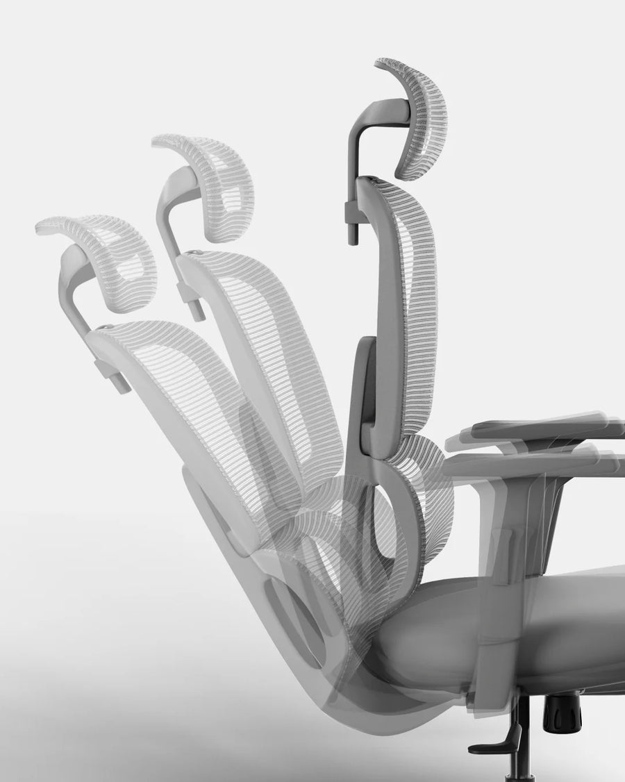 Ero Mesh Ergonomic Office Chair In Latty Grey Colour - Febonic Living
