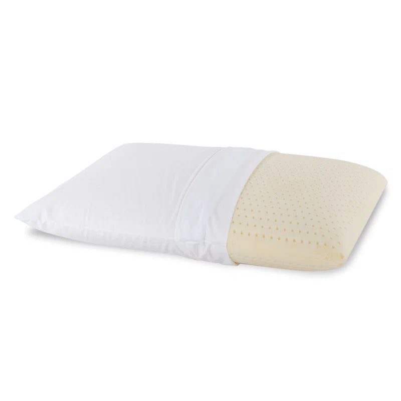 Emi 29X18 Latex Pillows In Pack Of 2 - Febonic Living