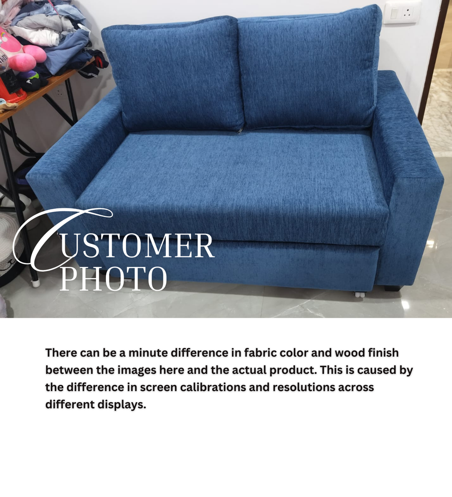 Lobby Fabric 2 Seater Pull Out Sofa Cum Bed In Light Blue Colour - Febonic Living