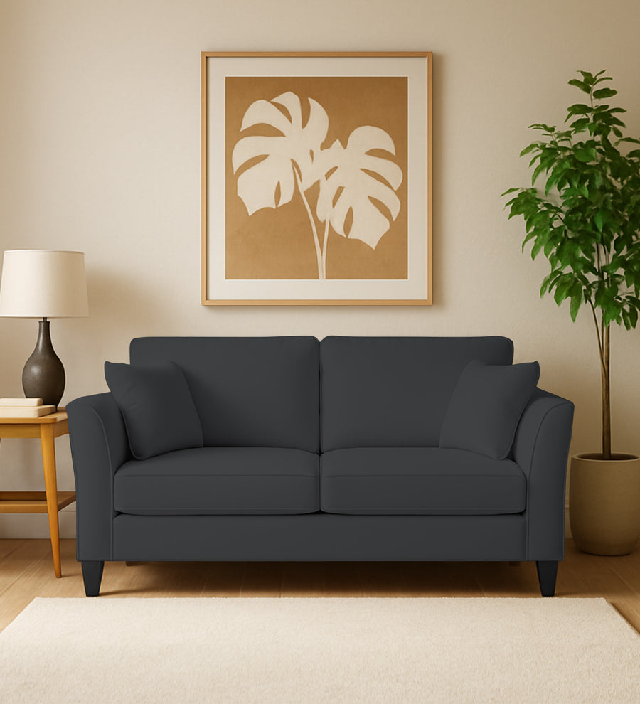 Miranda  2 Seater Velvet Sofa - Davy Grey by Febonic Living