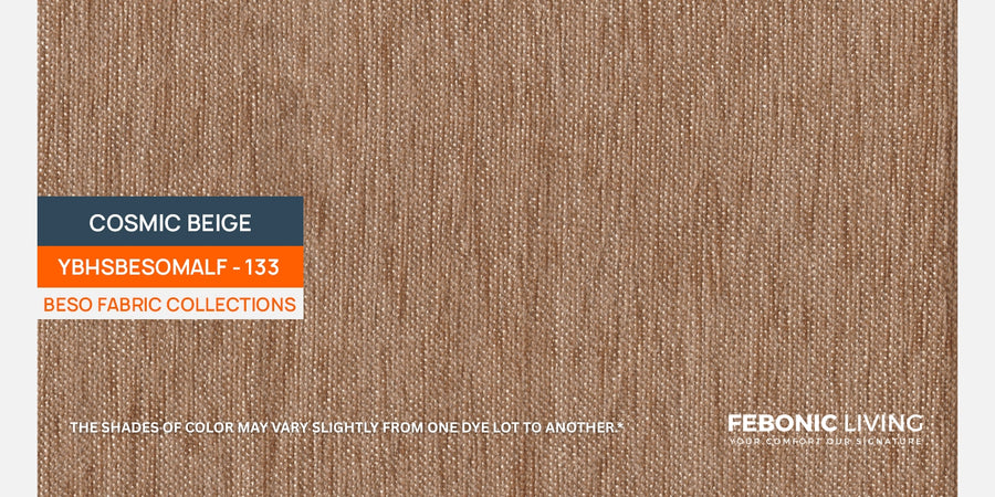 Rana Fabric 2 Seater Sofa In Cosmic Beige Colour - Febonic Living