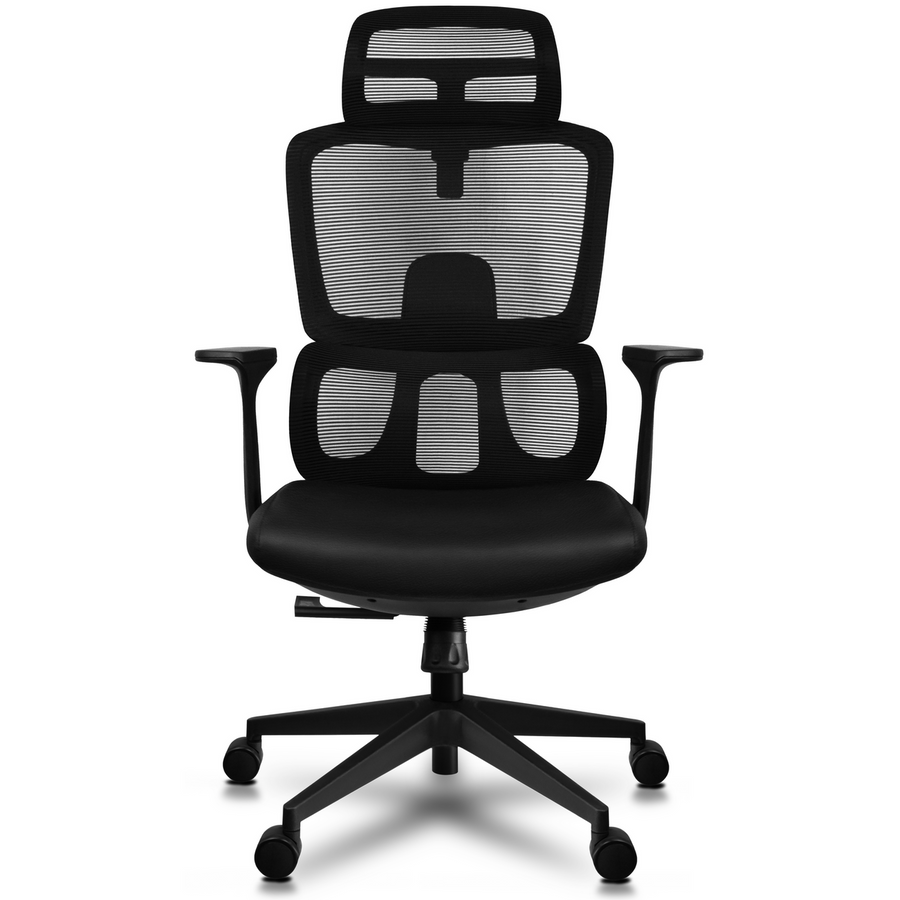 Loyar Mesh Ergonomic Office Chair In Baba Black - Febonic Living