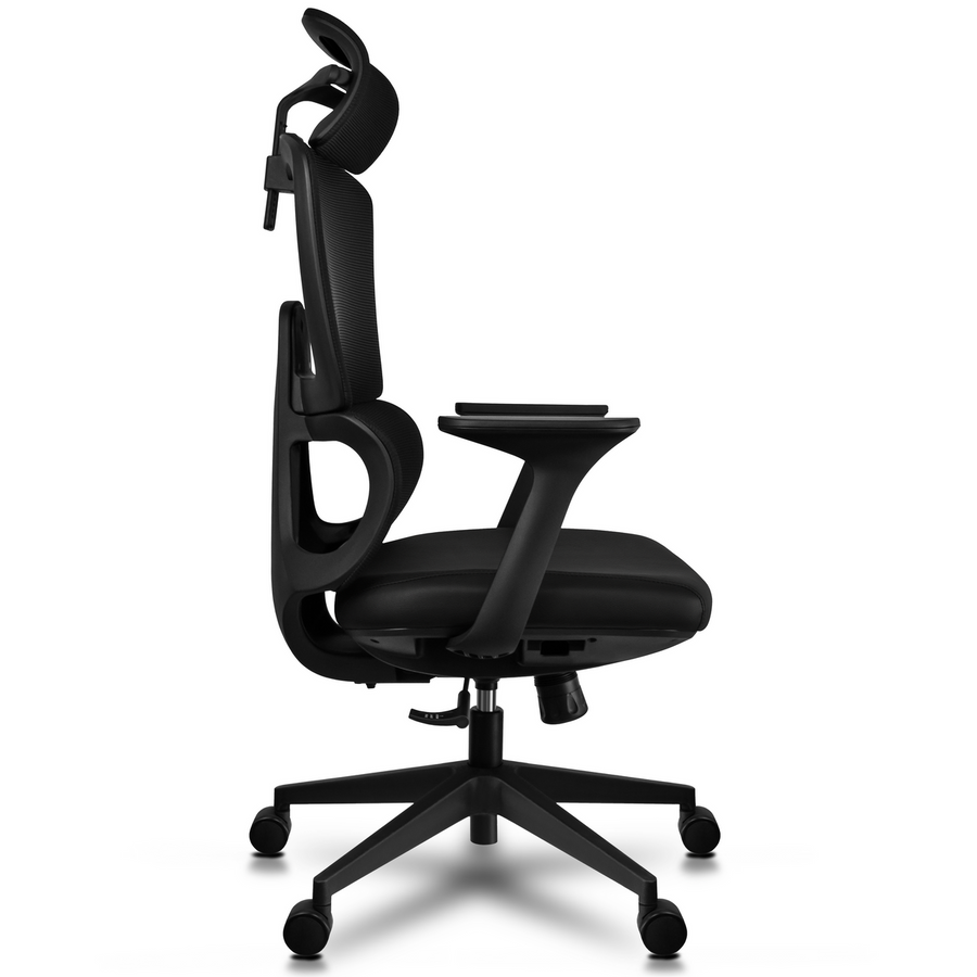Loyar Mesh Ergonomic Office Chair In Baba Black - Febonic Living