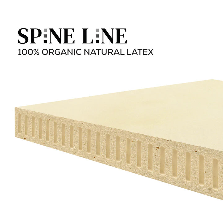 Spineline Orthopedic (100% Organic Natural Latex) Queen Size Mattress + Free Life Companion Latex Pillows