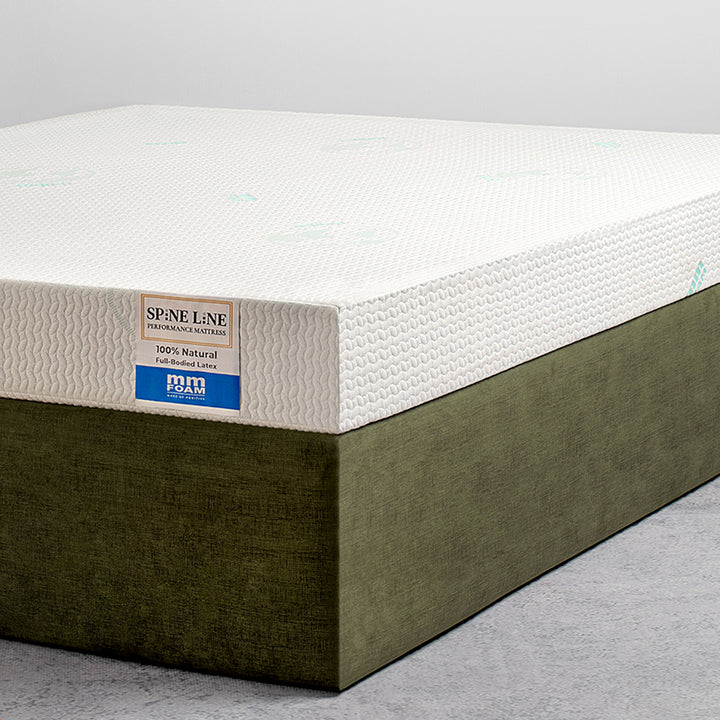Spineline Orthopedic (100% Organic Natural Latex) Queen Size Mattress + Free Life Companion Latex Pillows