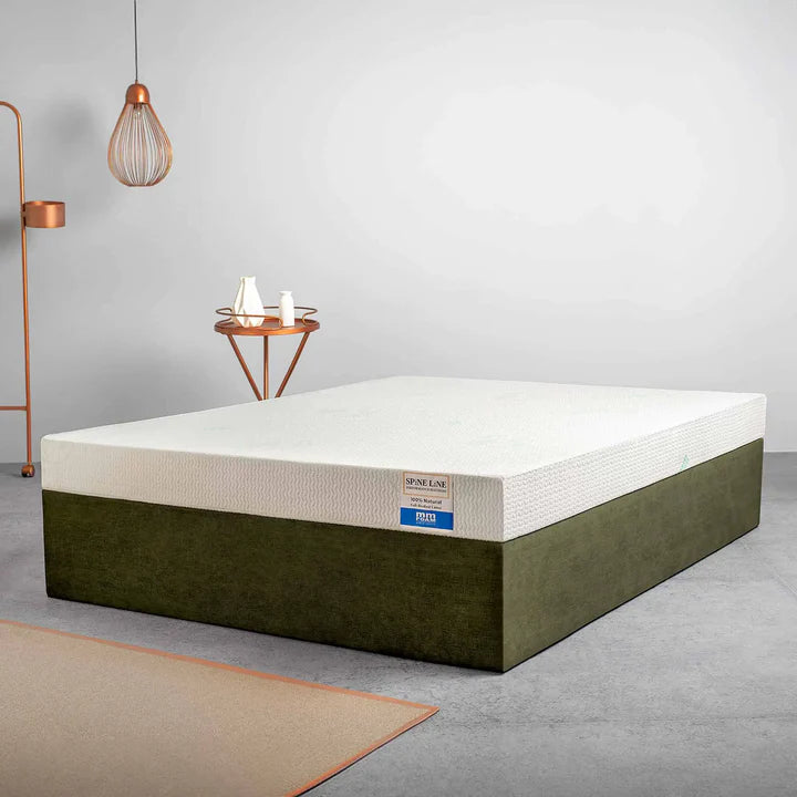 Spineline Orthopedic (100% Organic Natural Latex) Queen Size Mattress + Free Life Companion Latex Pillows