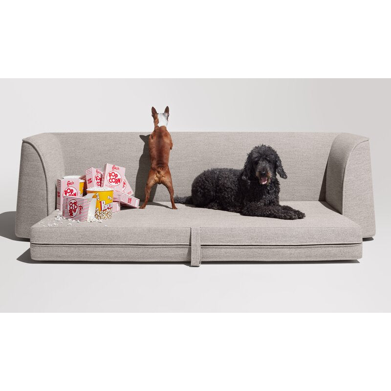 Hoppy Fabric 3 Seater Convertible Sofa Cum Bed In Ash Grey Colour