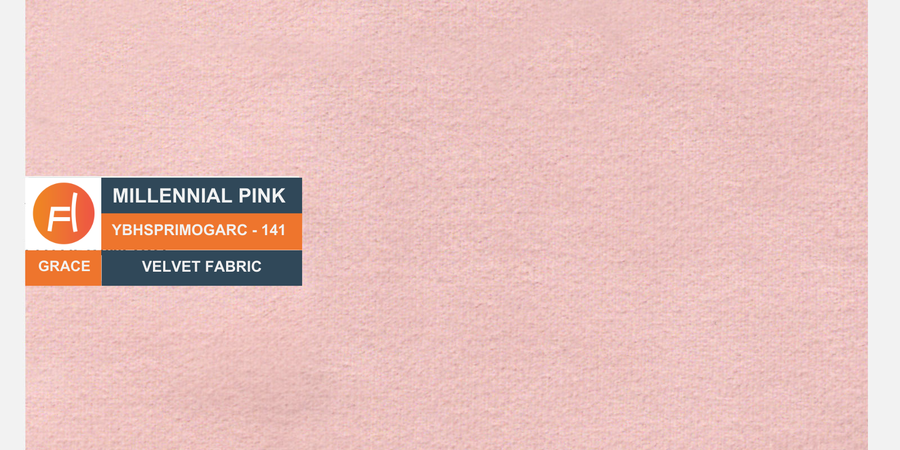 Rubi Velvet 2 Seater Sofa In Millennial Pink Colour - Febonic Living