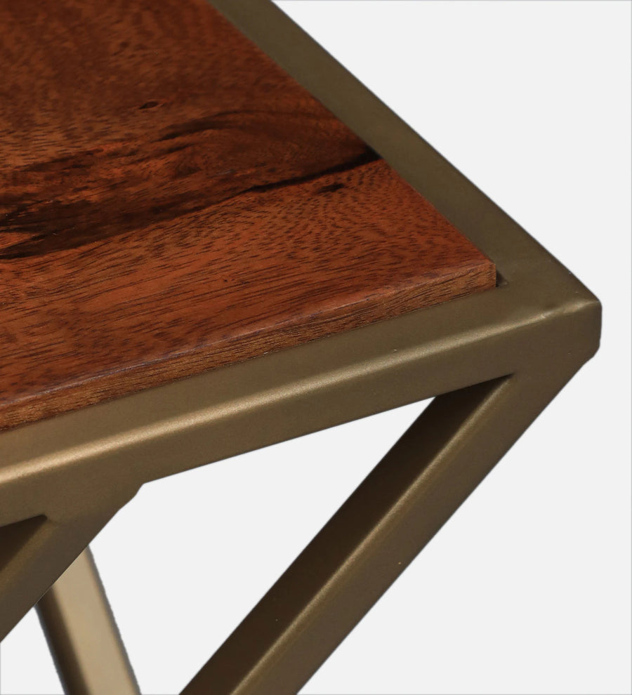 Kini Metal End Table In Matte Gold Finish