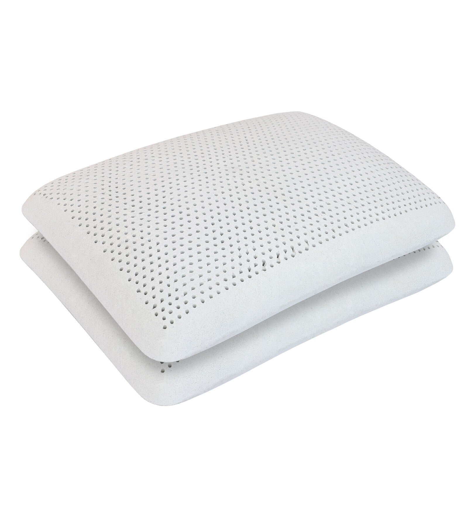 Aspen (24x16) Latex Pillows In (Pack of 2) - Febonic Living