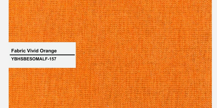 Rocky Fabric 2 Seater Pull Out Sofa Cum Bed In Vivid Orange Colour With Storage - Febonic Living